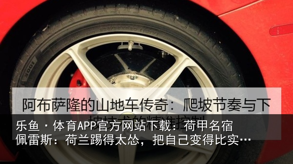 乐鱼·体育APP官方网站下载：荷甲名宿佩雷斯：荷兰踢得太怂，把自己变得比实际实力更弱
