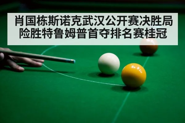 肖国栋斯诺克武汉公开赛决胜局险胜特鲁姆普首夺排名赛桂冠