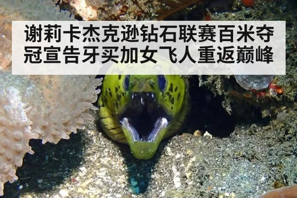 谢莉卡杰克逊钻石联赛百米夺冠宣告牙买加女飞人重返巅峰