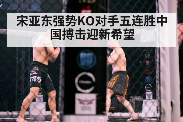 宋亚东强势KO对手五连胜中国搏击迎新希望