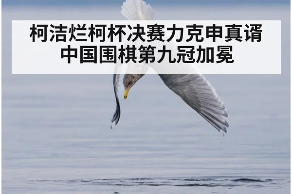 柯洁烂柯杯决赛力克申真谞 中国围棋第九冠加冕